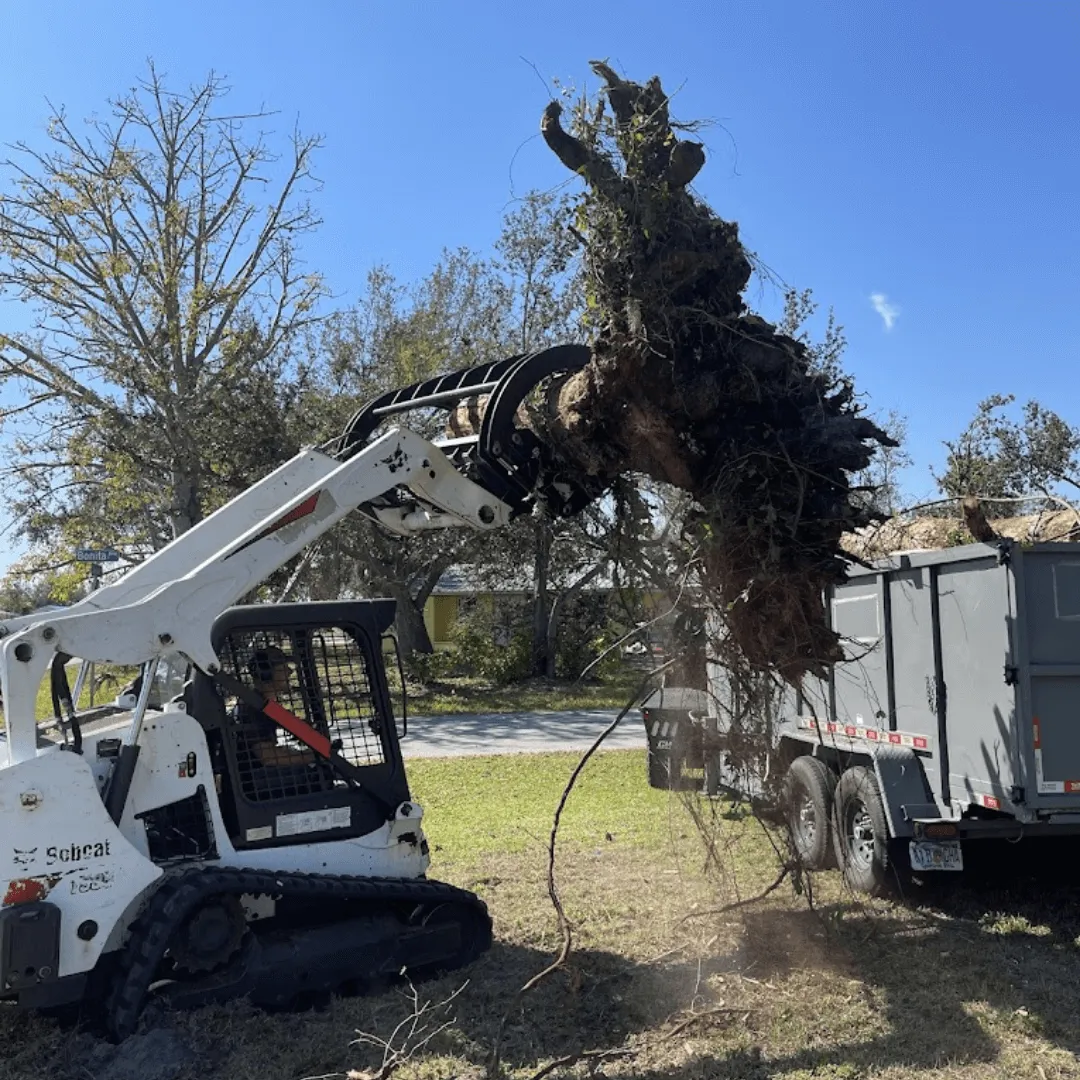 Bobcat debris removal
