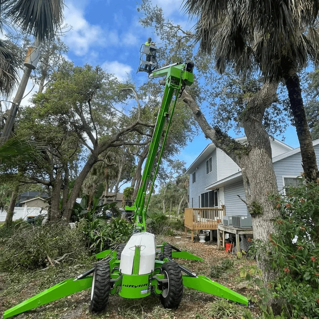 Professional tree service crew working in Port Charlotte Florida