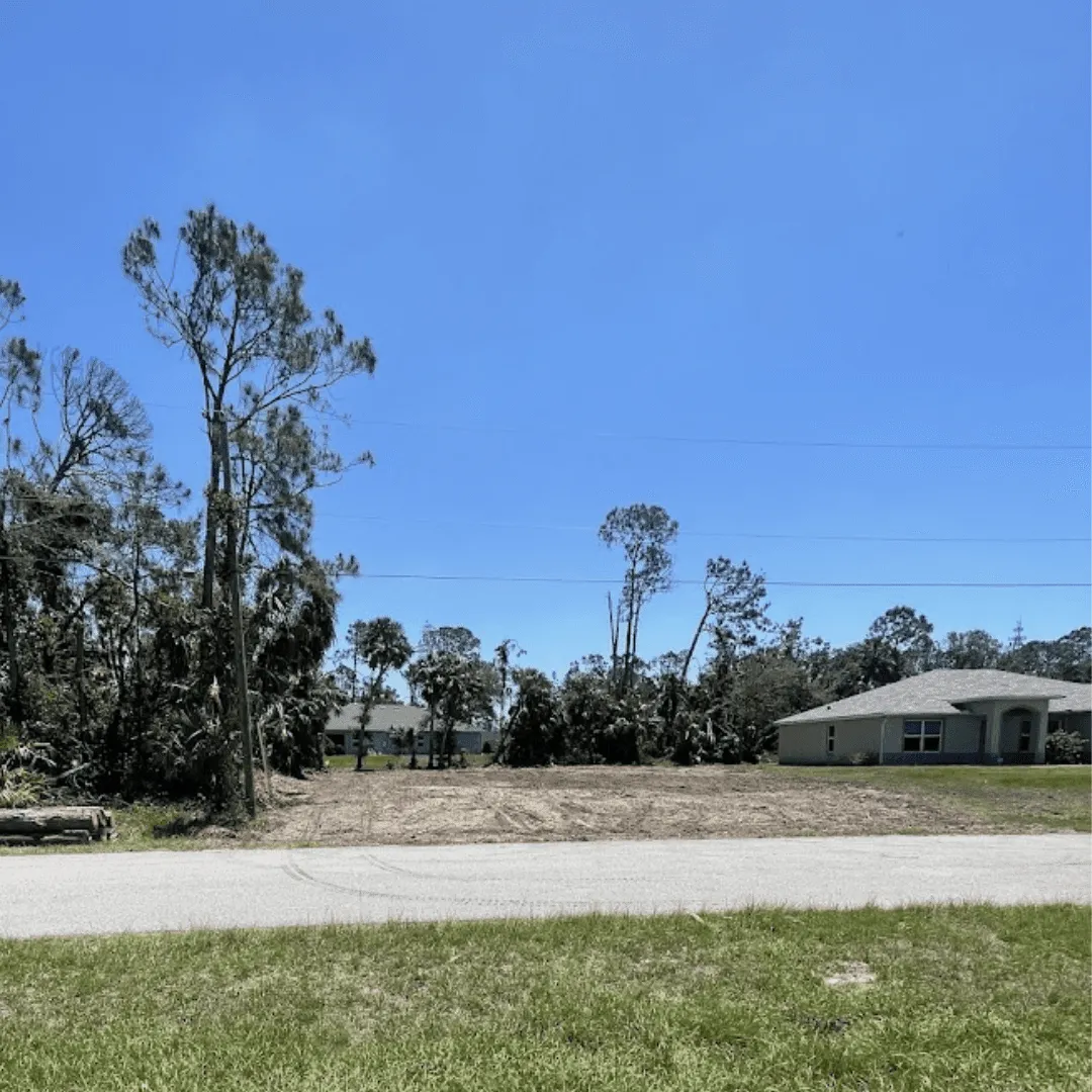 Completed lot clearing